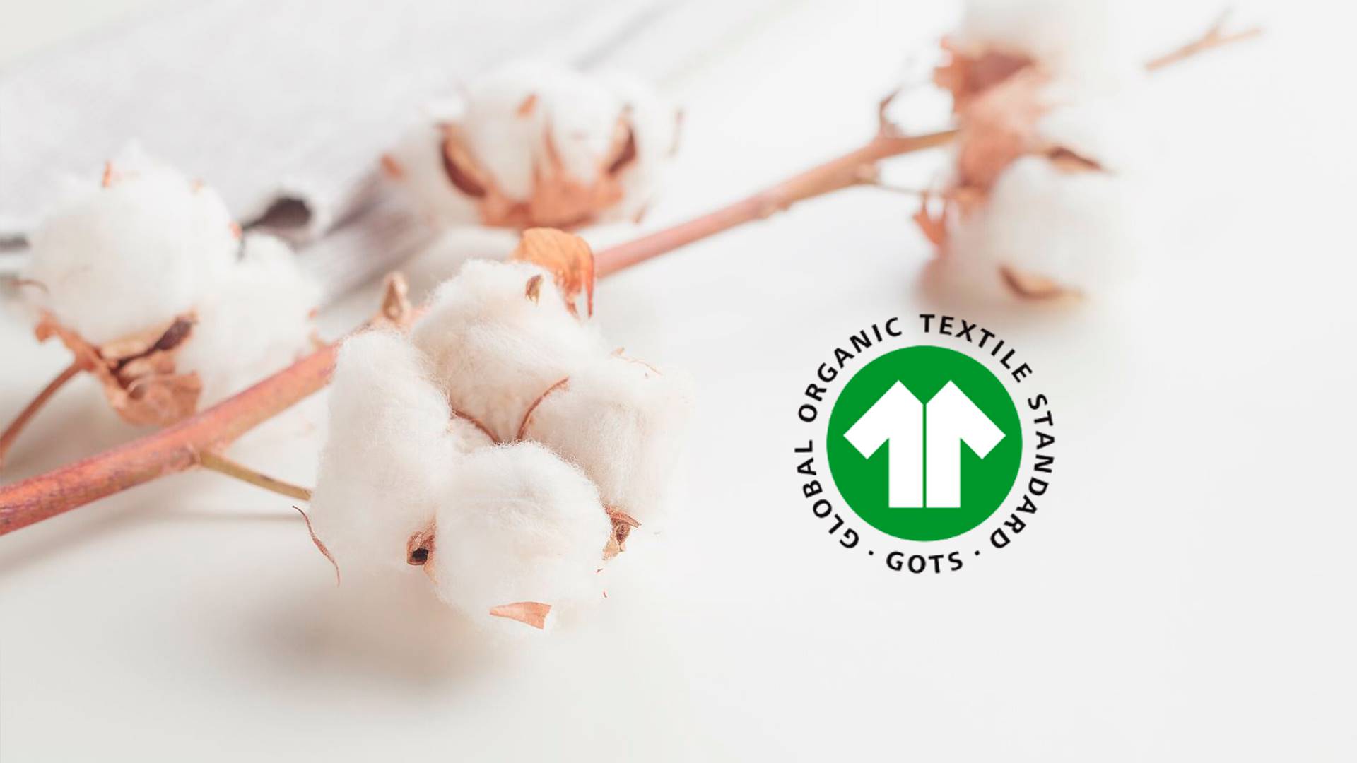 Discover GOTS Organic Cotton